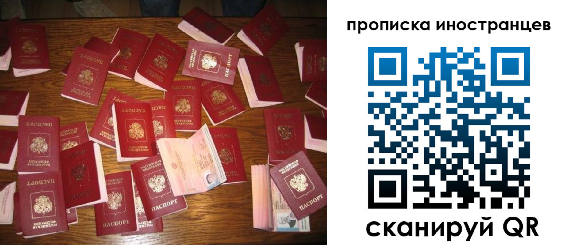 найти адрес прописки в Заполярном